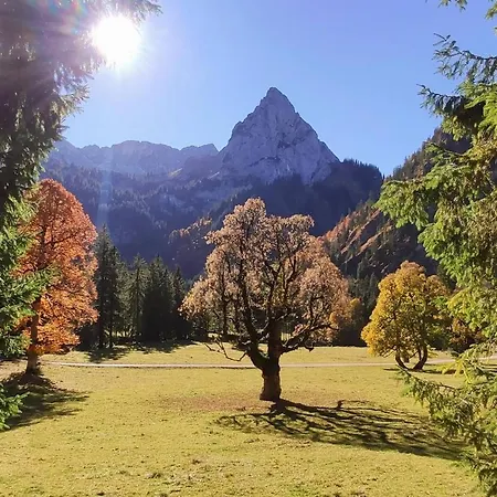 Castle And Alps * Halblech