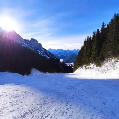 Castle And Alps *